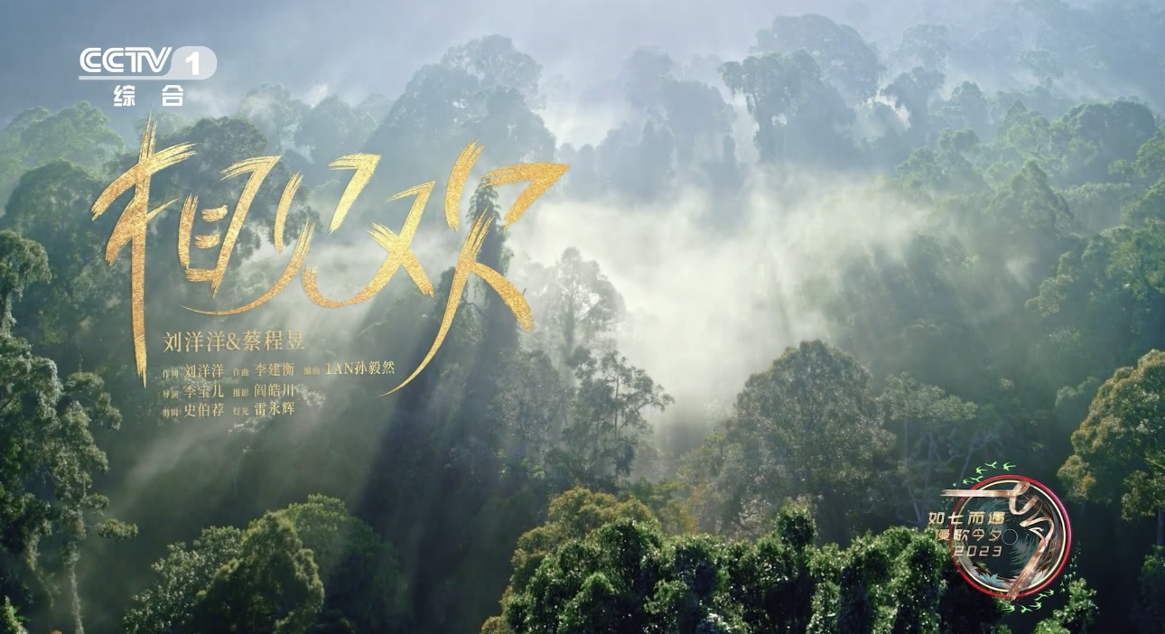 刘洋洋｜2023央视七夕晚会｜演唱原创歌曲《相见欢》 