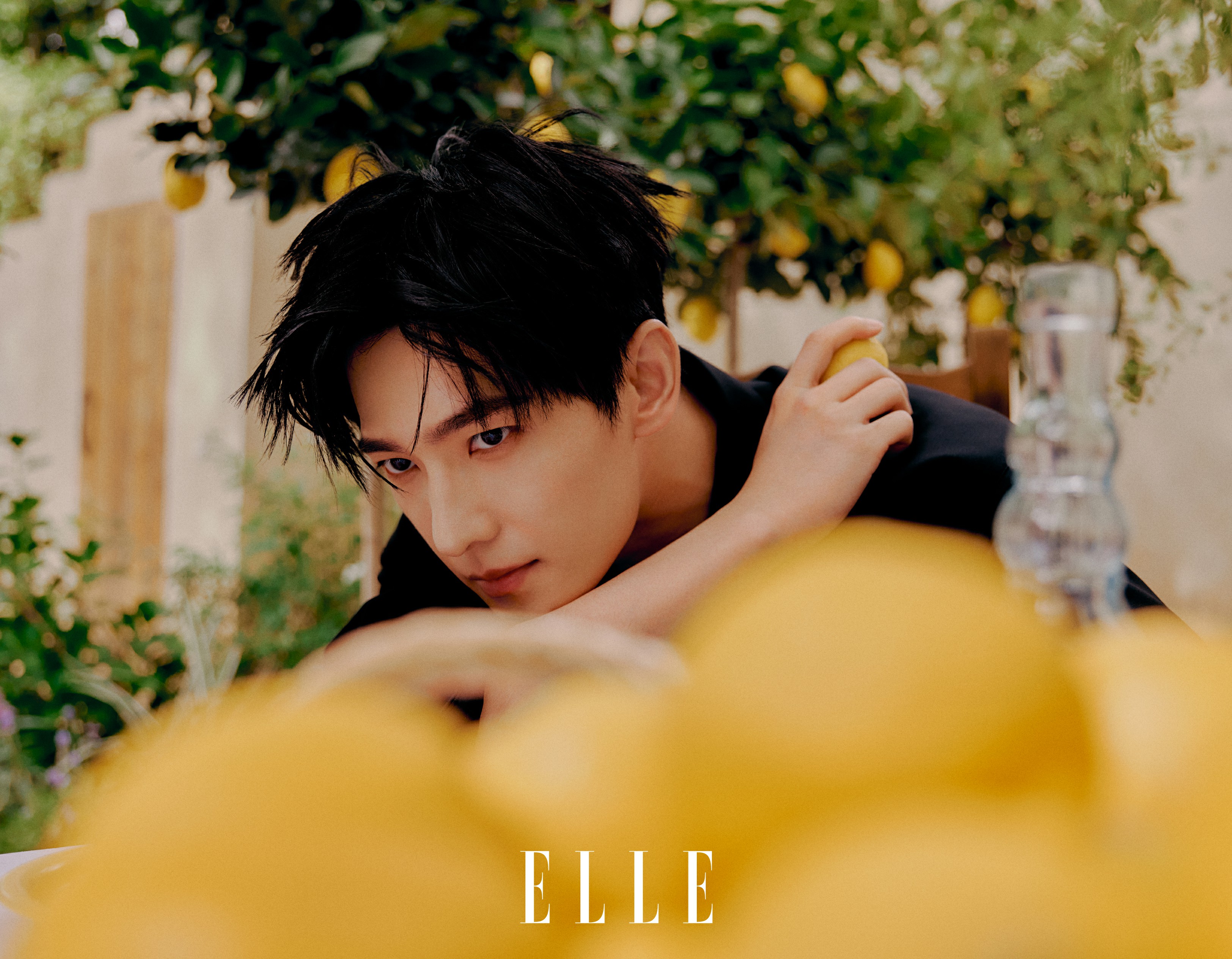 杨洋ELLE 六月刊封面 在馥郁柠檬香中开启夏日呼吸 