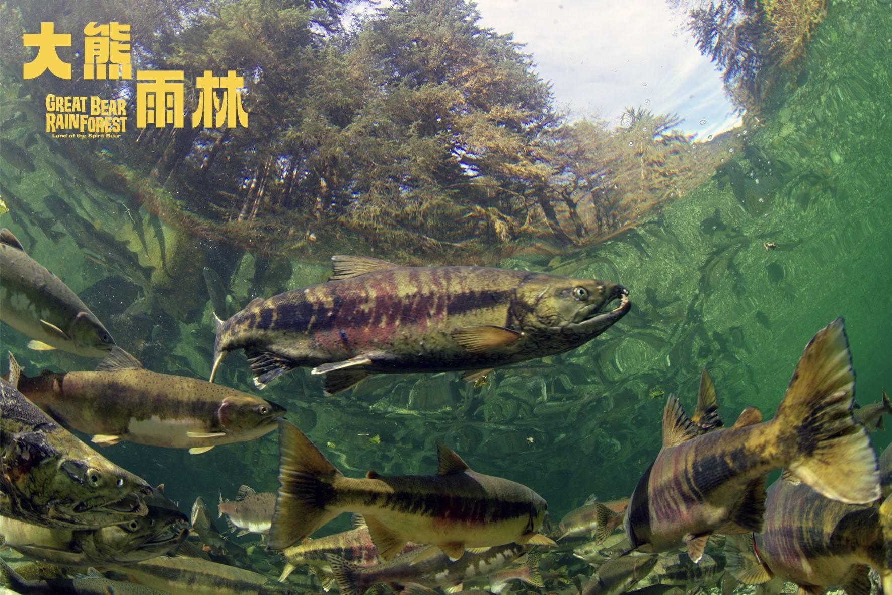 文章配图-4